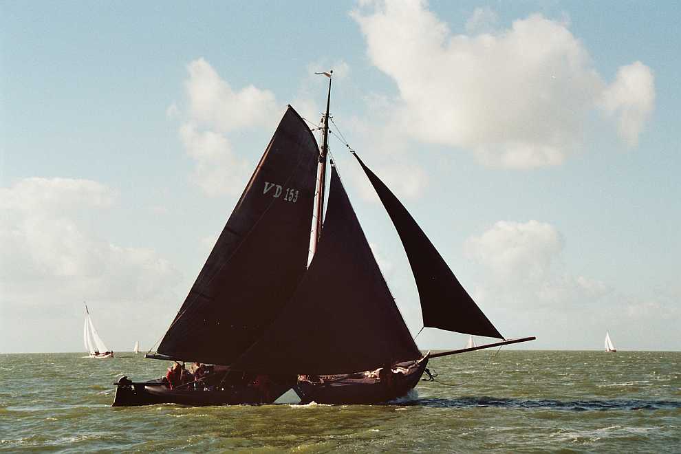 De Volendam 153 wil wel